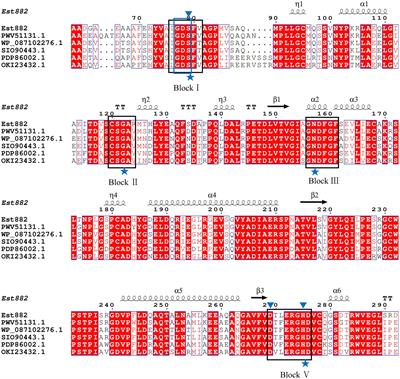 Expression, characterization, and immobilization of a novel SGNH esterase Est882 and its potential for pyrethroid degradation